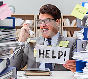 Busy businessman asking for help with work