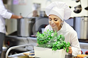 Busy chef at work in the restaurant kitchen