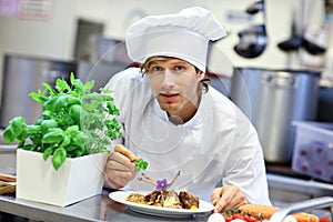 Busy chef at work in the restaurant kitchen