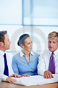 Busy discussing project. Three business people sitting at table and looking at a project.