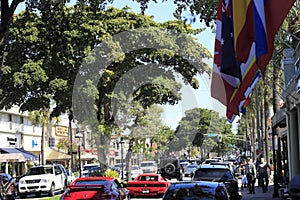 Busy Las Olas Boulevard