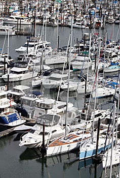 Busy Pleasure Craft Marina