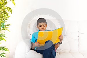 Busy reading smart boy