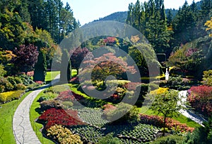 The Butchart Gardens in Autumn