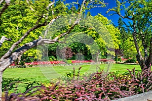 The Butchart Gardens on a beautiful sunny day, Vancouver Island, Canada