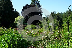The famous gardens of Butchert on Victoria Island. Canada. The Butchart Gardens