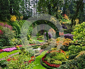 Butchart Gardens - set of gardens