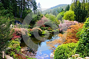 Butchart Gardens, Victoria, Canada, pond with vibrant spring flowers