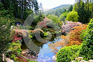 Butchart Gardens, Victoria, Canada, pond with vibrant spring flowers photo