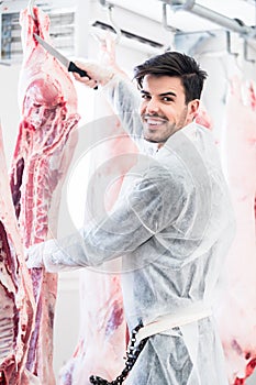 Butcher in butchery or slaughterhouse cutting meat