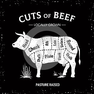 Butcher cow poster. White beef diagram, cow silhouette vintage logo, restaurant menu beef cut template. Vector butcher