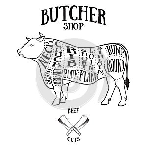 Butcher cuts scheme of beef