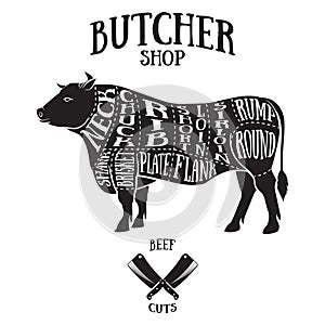 Butcher cuts scheme of beef