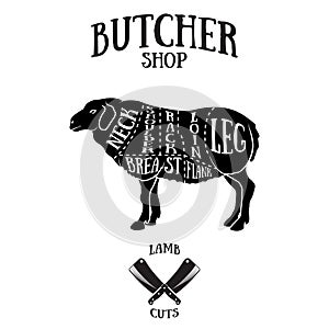 Butcher cuts scheme of lamb or mutton