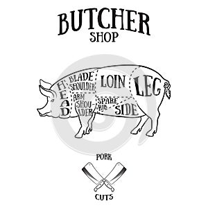 Butcher cuts scheme of pork