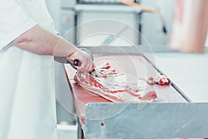 Butcher cutting meat for further processing with knife