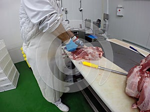 Butcher Cutting Pork Fresh Raw Meat on Board