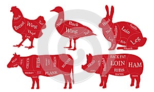 Butcher diagram. Meat cuts. Silhouette of a cow, chicken, pig, rabbit, duck. Vector illustration for butcher shop.