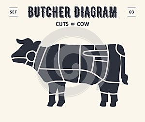 Butcher diagram and scheme - Beef,cow