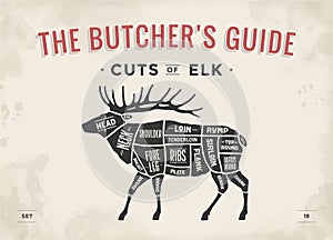 Butcher diagram, scheme - Elk