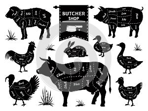 Butcher diagrams. Animal meat cuts, cow pig rabbit lamb rooster domestic animals silhouettes. Vector retro butcher shop