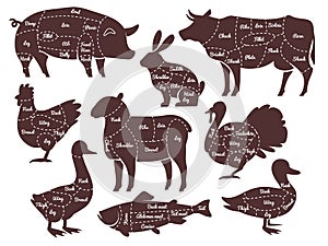 Butcher diagrams. Cutting lines different parts domestic farm animals silhouettes. Outline meat schemes, market menu