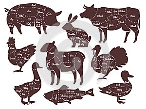 Butcher diagrams. Cutting lines different parts domestic farm animals silhouettes. Outline meat schemes, market menu photo