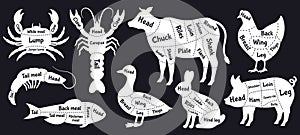 Butcher guide. Meat cuts scheme, beef, chicken, fish and shrimp silhouette, meat cutting lines. Butcher shop meat cuts