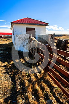 Butcher house on estancia photo