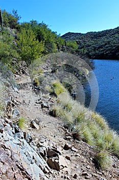 Butcher Jones Beach Arizona, Tonto National Forest