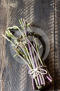 Butcher's broom shoots collected in the woods