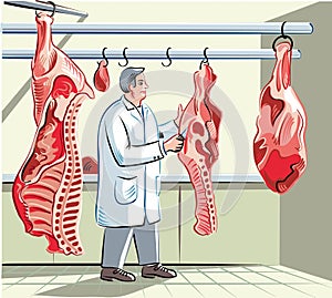 Butcher in a slaughterhouse, dissects.