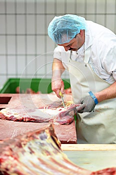 Butcher works in a slaughterhouse and cuts freshly slaughtered m