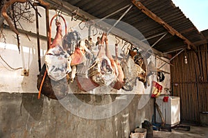 Butchered pig legs hanging on a hook and dried against a wall.