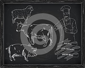 Butchering beef diagram, pork, lamb and cook