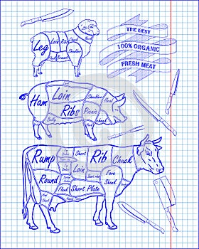 Butchering beef diagram, pork, lamb and knife