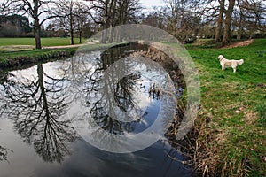 Bute Park