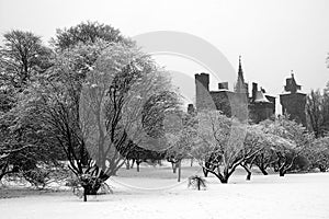 Bute park, Cardiff photo