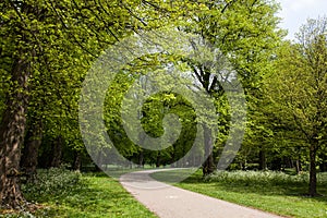 Bute Park photo