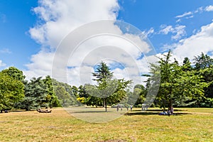 Bute park and Taff river, Cardiff, Wales, UK