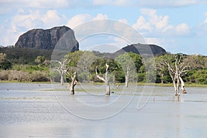 Buthawa Wewa lake, Yala Strict Nature Reserve