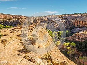 Butler Wash Trail near Blanding, Utah