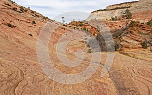 Butte in Zion National Park, Utah