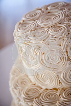 Butter creme Swirl Cake