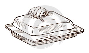 Butter in dish isolated sketch dairy product cooking ingredient