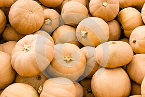 Butter Kin squash on display