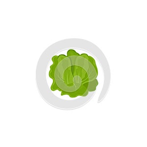 Butter lettuce. Cabbage, lettuce, fresh green isolated lettuce. Kind salad in flat style. Vector illustration isolated on white