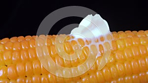 Butter slices on boiled corn. Slice of butter slides down surface of hot corn