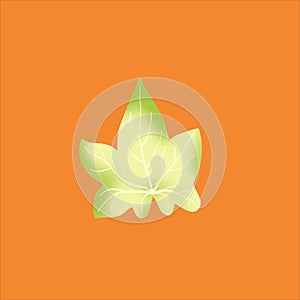buttercup Hedera helix Vector with background