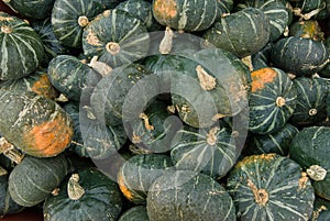 Buttercup squash